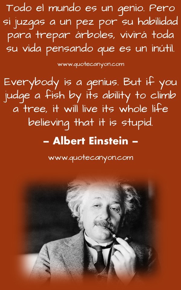 Albert Einstein Spanish To English Quotes