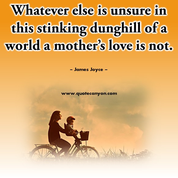 Quotes by famous people - Whatever else is unsure in this stinking dunghill of a world a mother’s love is not - James Joyce