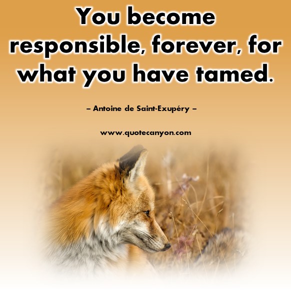 Famous sayings - You become responsible, forever, for what you have tamed - Antoine de Saint-Exupéry