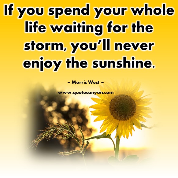 Famous quotes about life - If you spend your whole life waiting for the storm, you’ll never enjoy the sunshine - Morris West