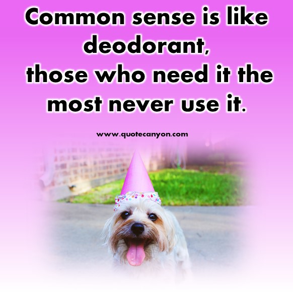 cute short quotes about life - Common sense is like deodorant, those who need it the most never use it
