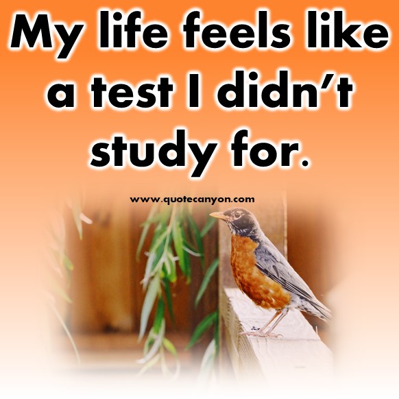 famous short quotes - My life feels like a test I didn’t study for