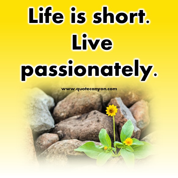 short quotes about life - Life is short. Live passionately