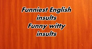 Funniest English insults