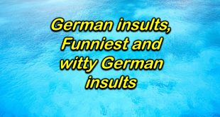 German insults
