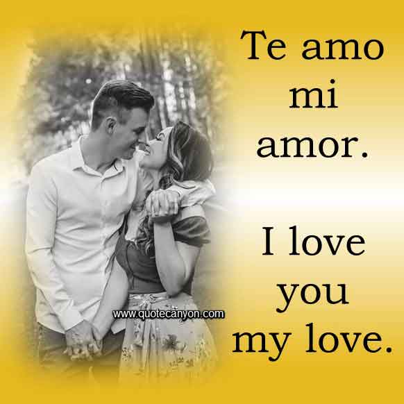 I love you my love in Spanish that says Te amo mi amor