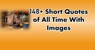 148+ Short Quotes of All Time With Images